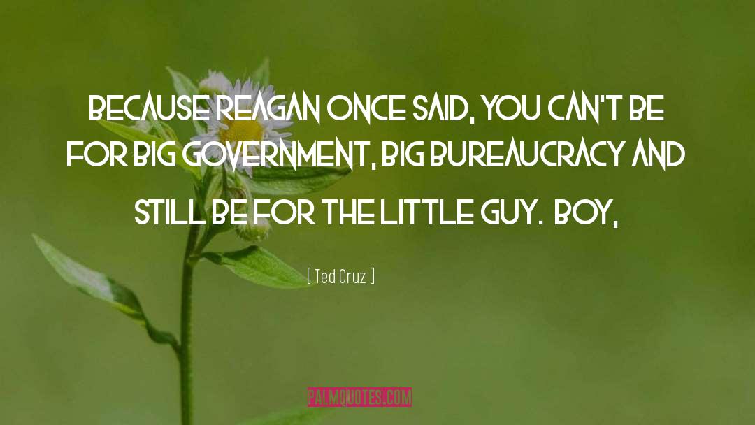 Big Government quotes by Ted Cruz