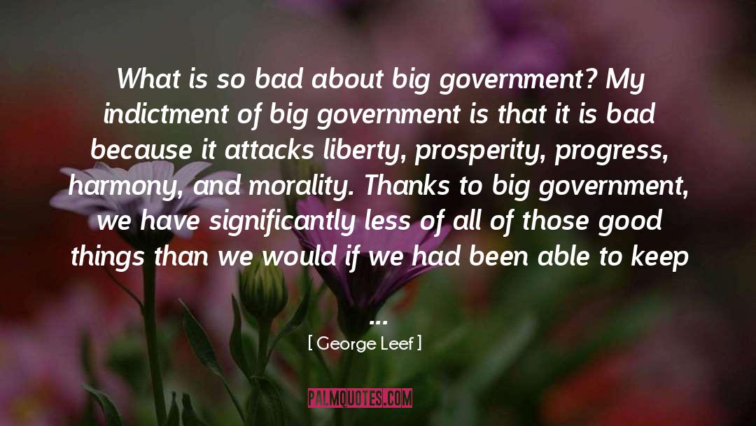 Big Government quotes by George Leef