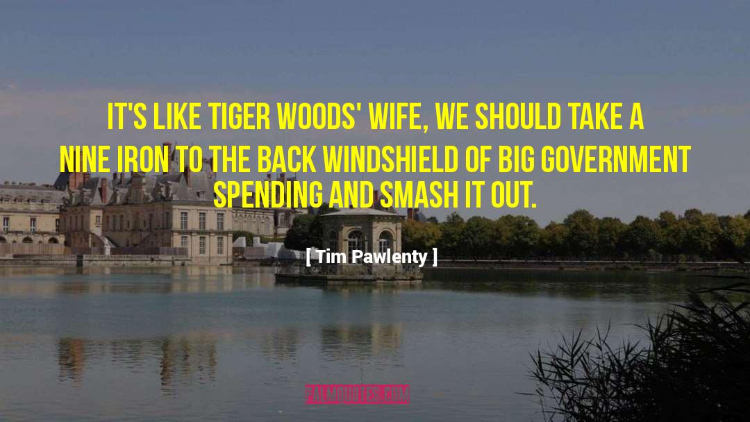 Big Government quotes by Tim Pawlenty