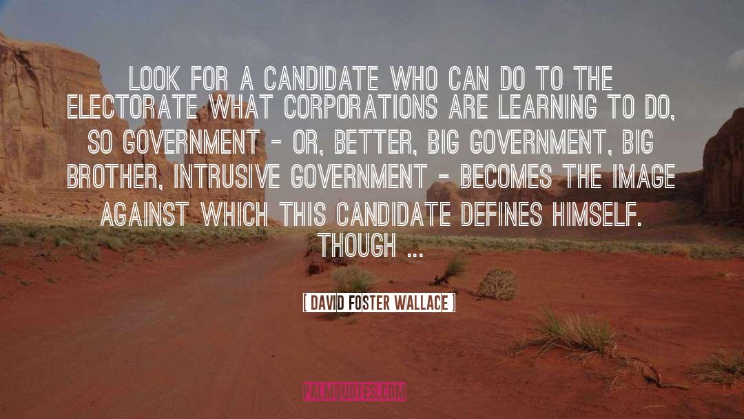 Big Government quotes by David Foster Wallace