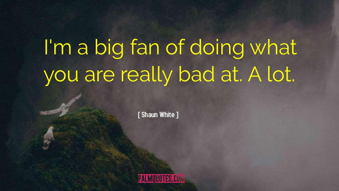 Big Guns quotes by Shaun White