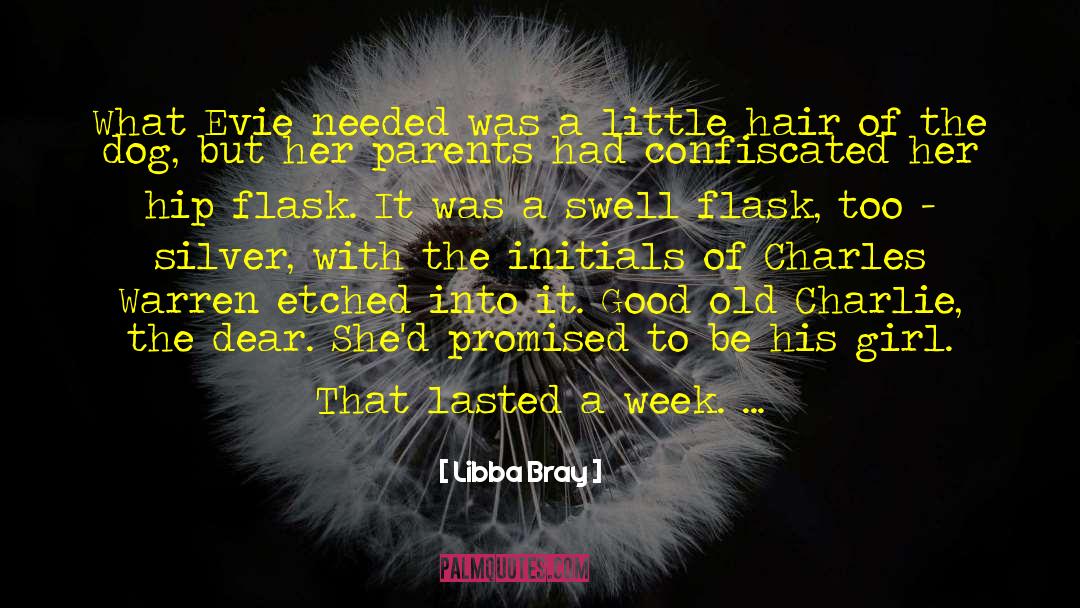 Big Hair quotes by Libba Bray