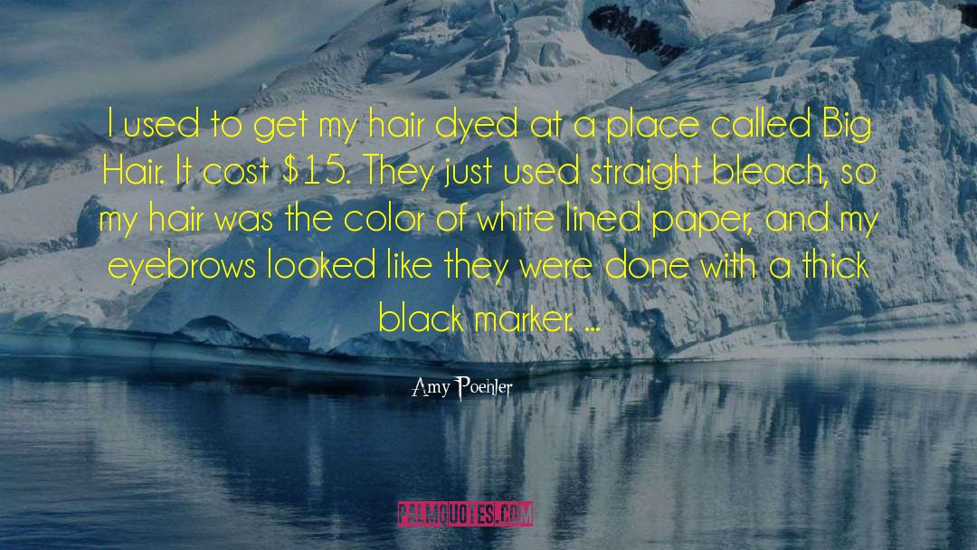 Big Hair quotes by Amy Poehler