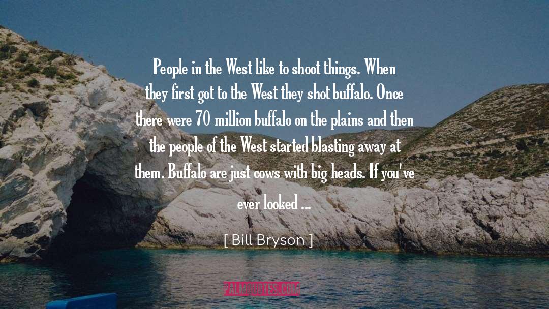 Big Heads quotes by Bill Bryson