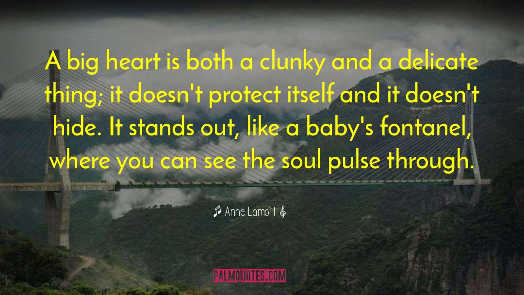 Big Heart quotes by Anne Lamott