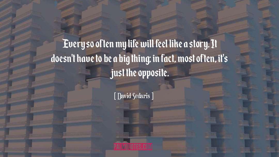 Big Hearted quotes by David Sedaris