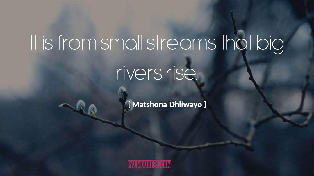 Big History quotes by Matshona Dhliwayo