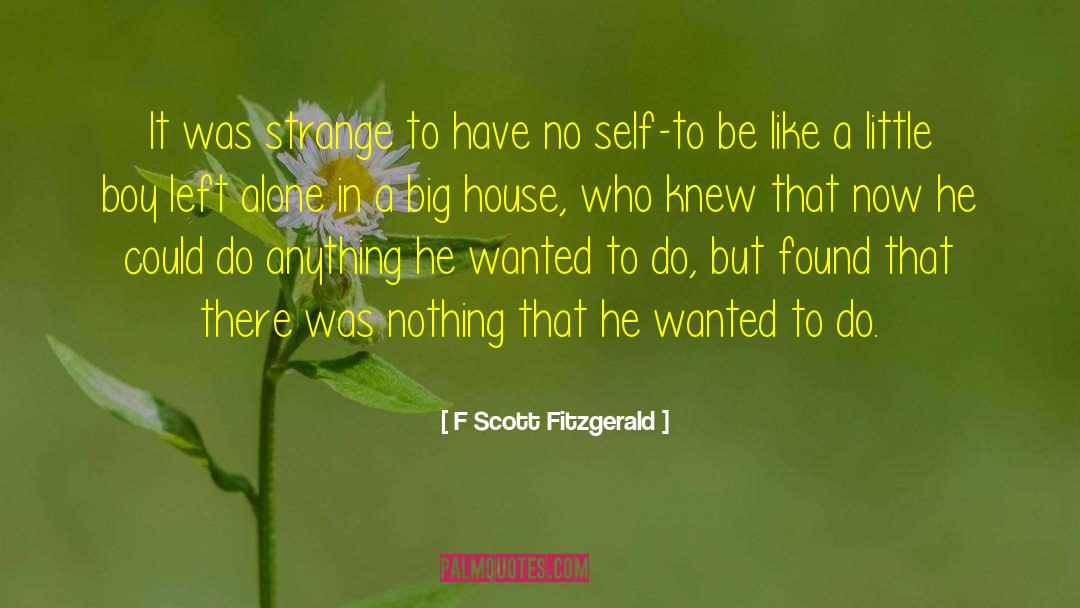 Big Houses quotes by F Scott Fitzgerald