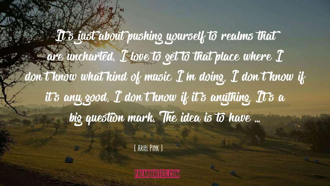 Big Idea 2015 quotes by Ariel Pink