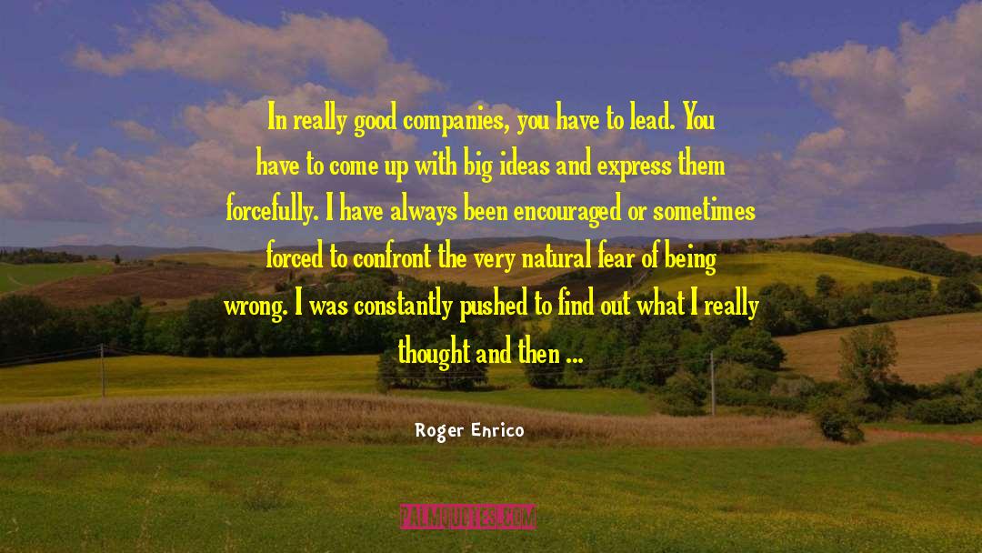 Big Ideas quotes by Roger Enrico