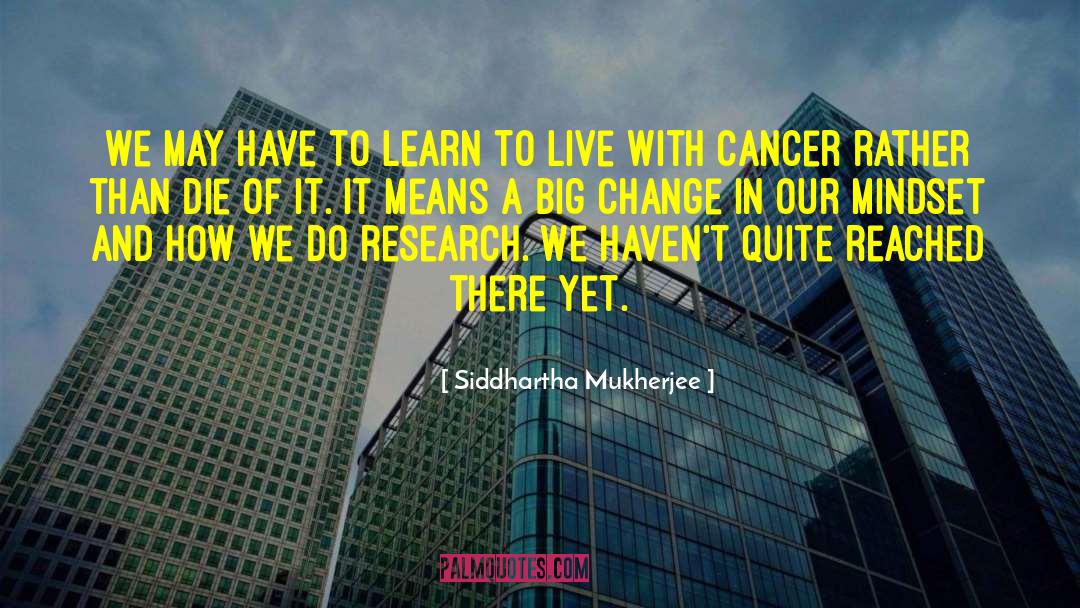 Big Ideas quotes by Siddhartha Mukherjee