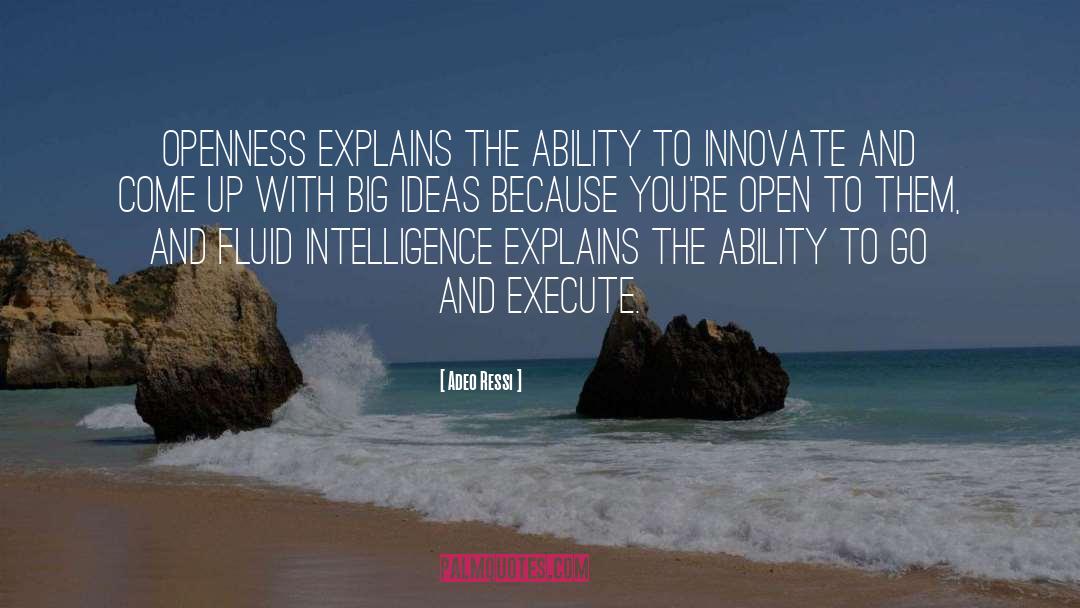 Big Ideas quotes by Adeo Ressi