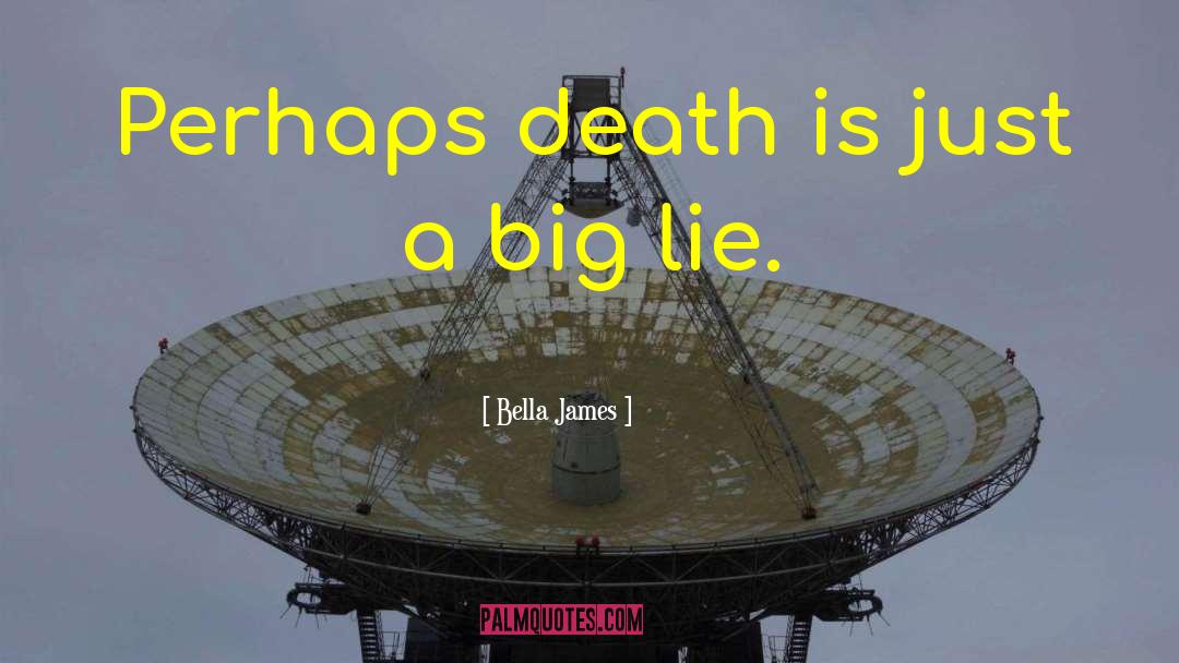 Big Lie quotes by Bella James