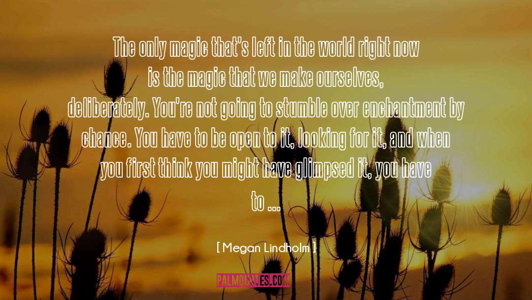 Big Magic quotes by Megan Lindholm