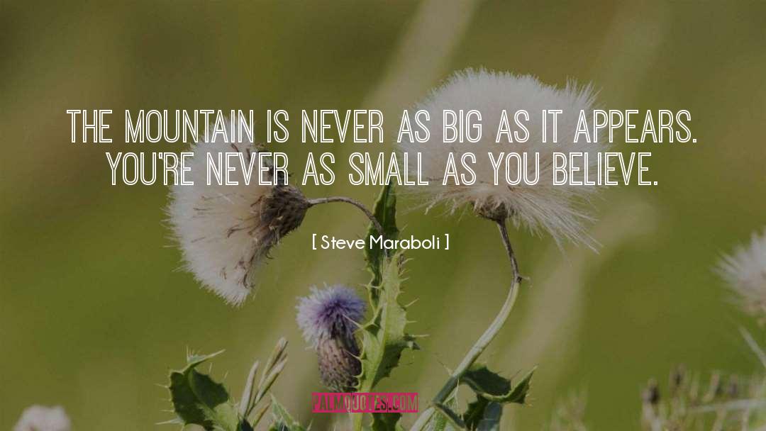 Big Me quotes by Steve Maraboli