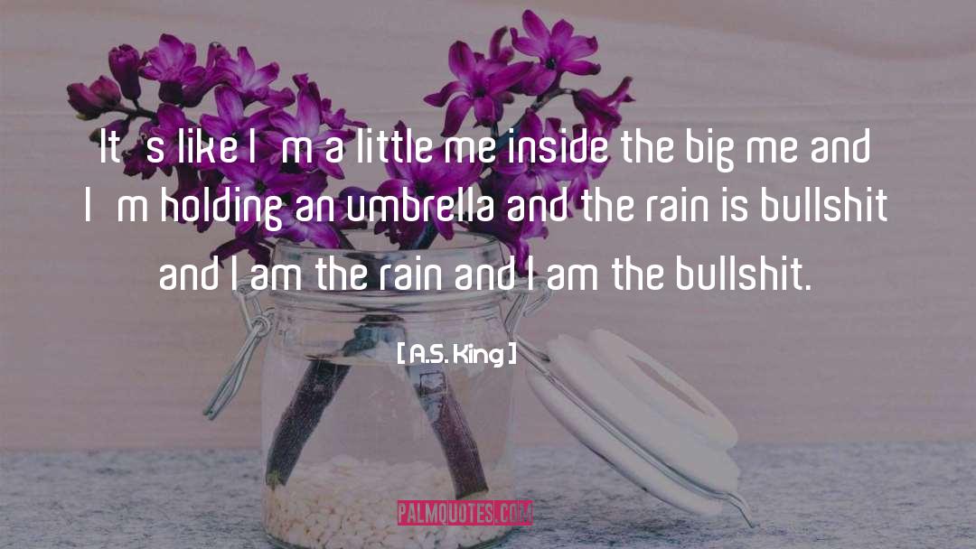 Big Me quotes by A.S. King