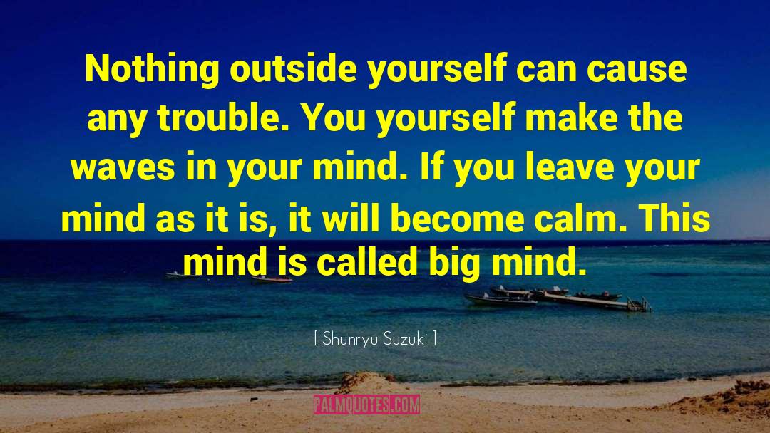 Big Mind quotes by Shunryu Suzuki