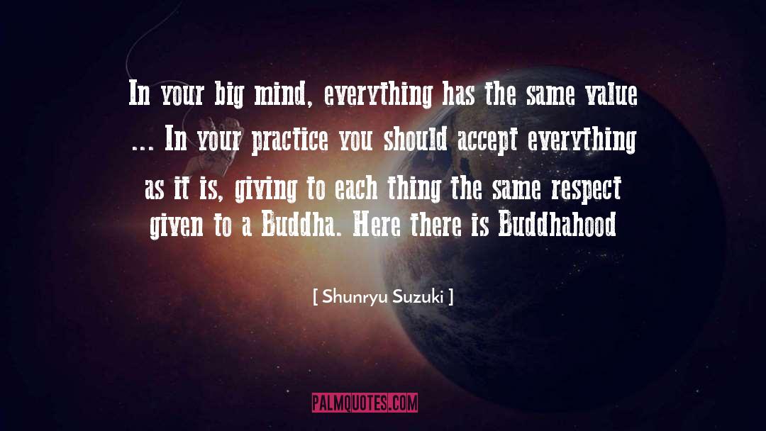 Big Mind quotes by Shunryu Suzuki