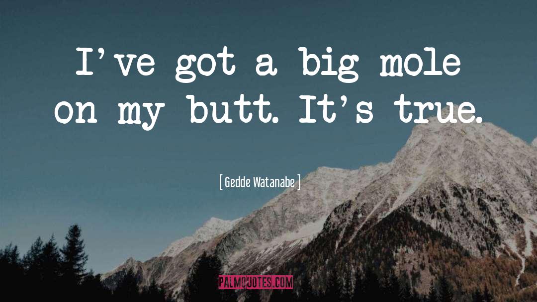 Big Mole quotes by Gedde Watanabe