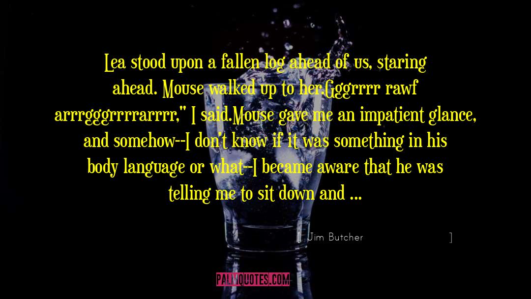 Big Mouth Matthew quotes by Jim Butcher