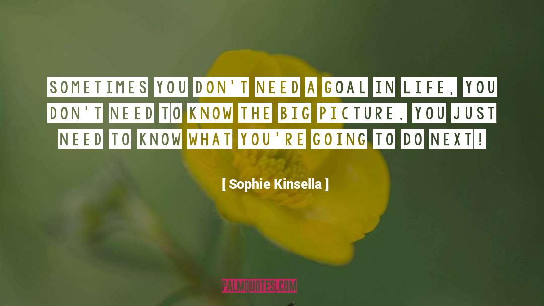 Big Picture quotes by Sophie Kinsella