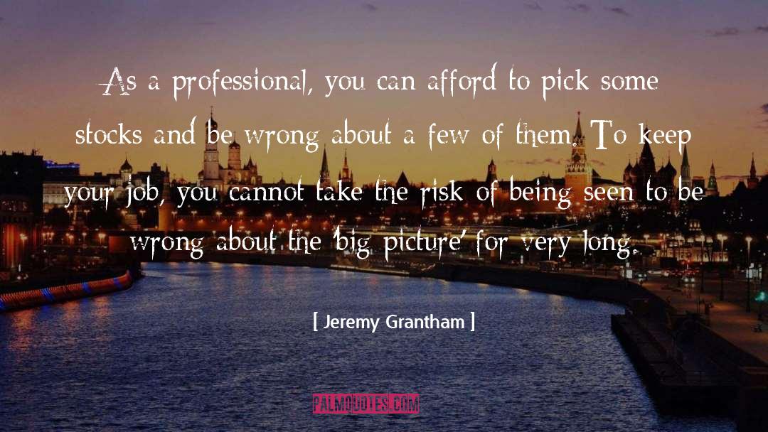 Big Picture quotes by Jeremy Grantham