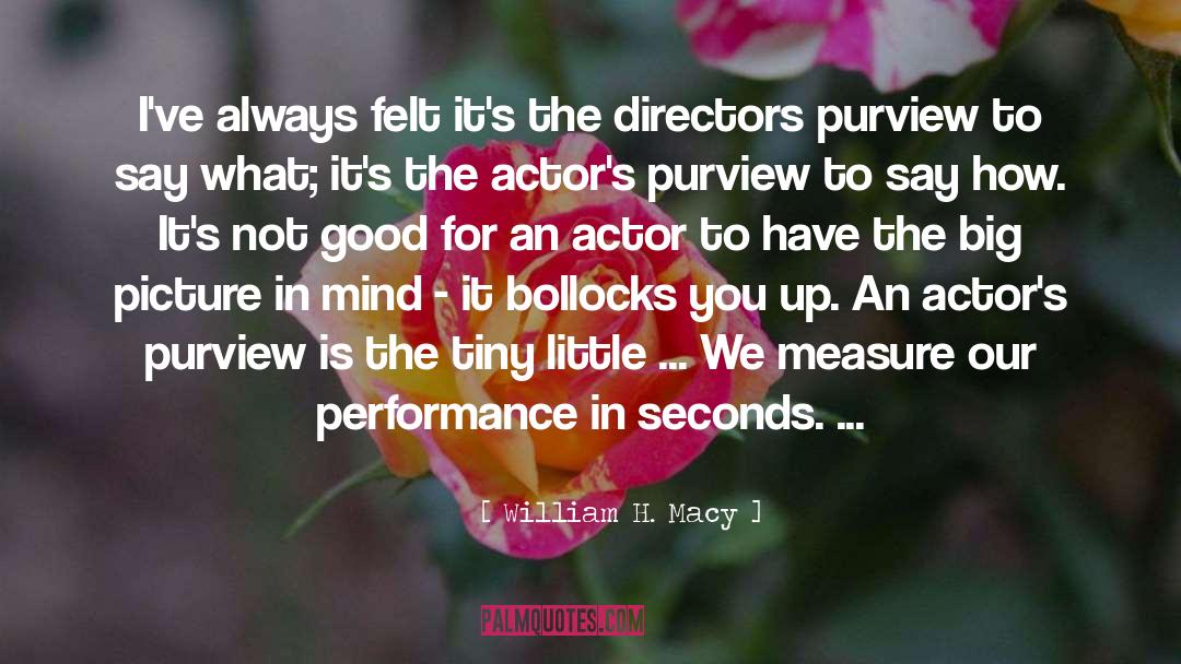 Big Picture quotes by William H. Macy