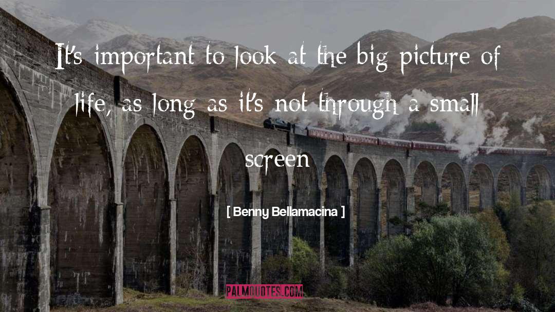 Big Picture quotes by Benny Bellamacina