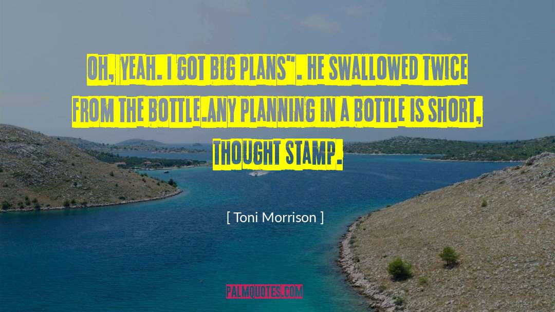 Big Plans quotes by Toni Morrison