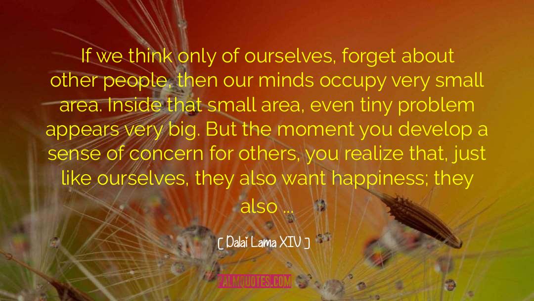 Big Problems quotes by Dalai Lama XIV