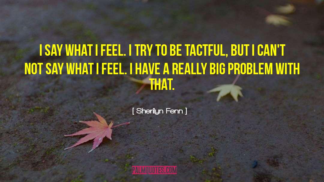 Big Problems quotes by Sherilyn Fenn
