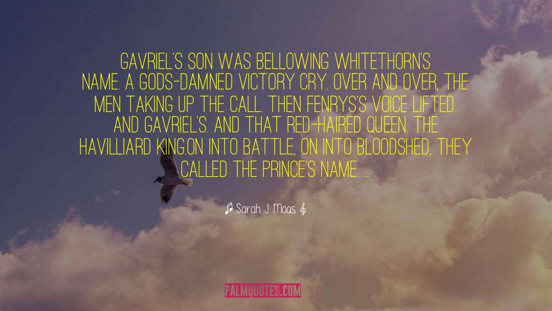 Big Red Son quotes by Sarah J. Maas