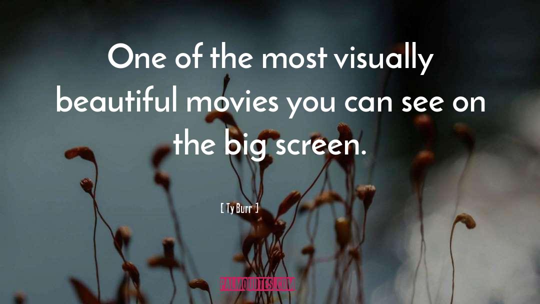 Big Screen quotes by Ty Burr