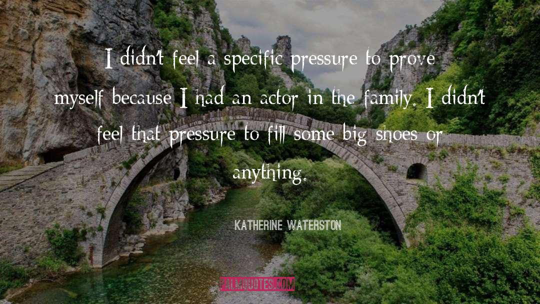 Big Shoes quotes by Katherine Waterston