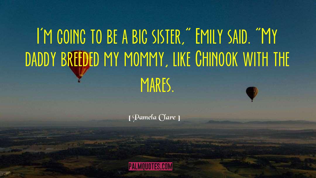 Big Sister quotes by Pamela Clare