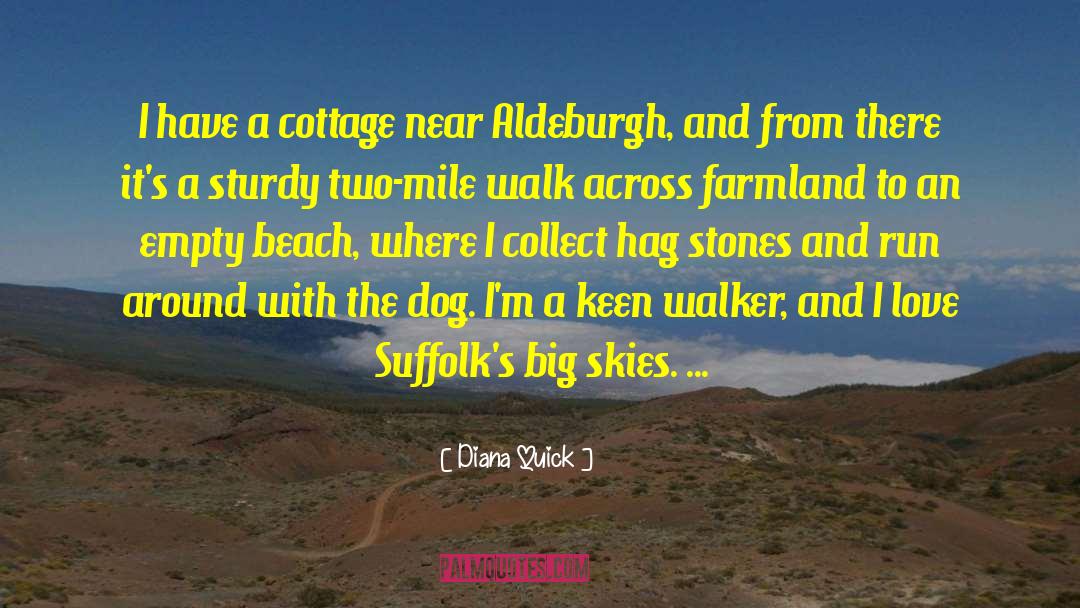 Big Sky Country quotes by Diana Quick