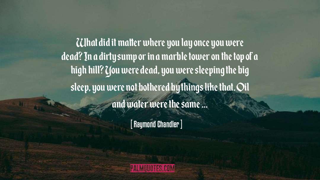 Big Sleep quotes by Raymond Chandler