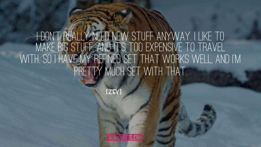 Big Stuff quotes by Z'EV