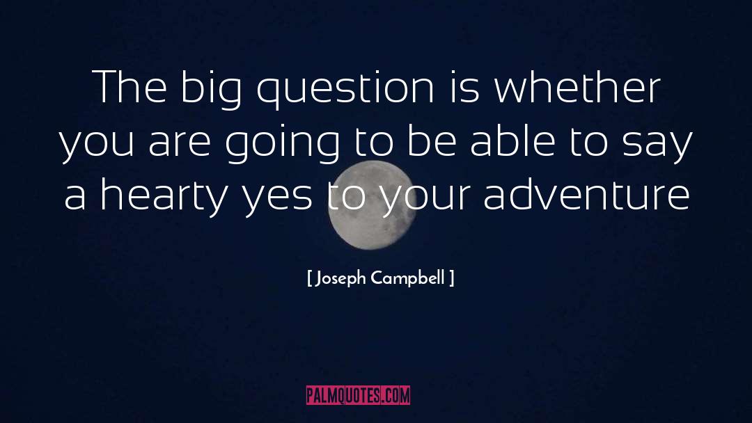 Big Success quotes by Joseph Campbell