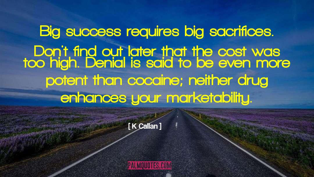 Big Success quotes by K Callan