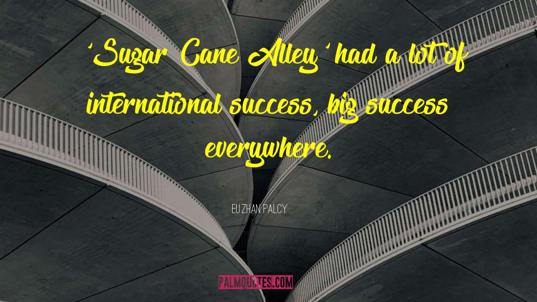 Big Success quotes by Euzhan Palcy