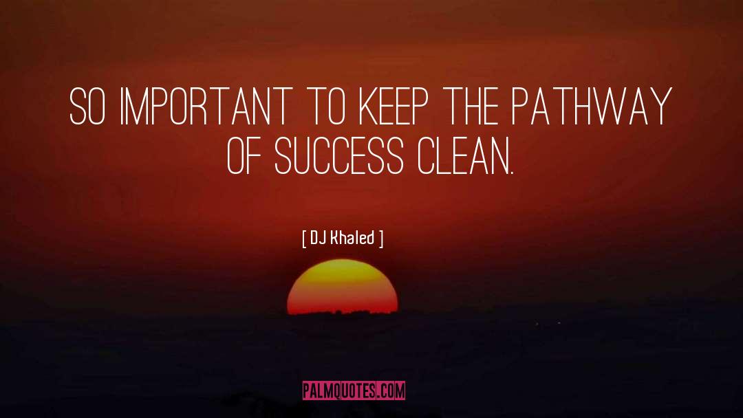 Big Success quotes by DJ Khaled