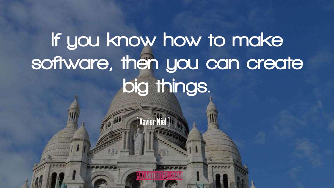Big Things quotes by Xavier Niel