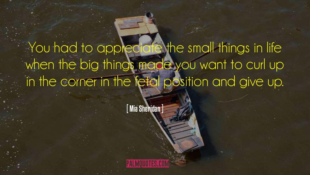 Big Things quotes by Mia Sheridan