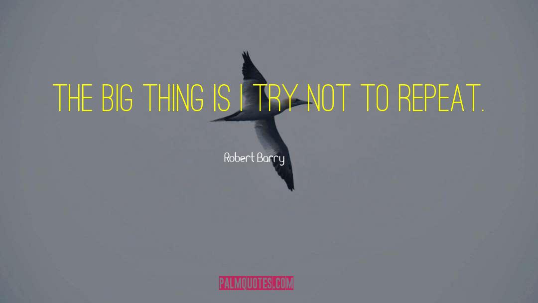 Big Things quotes by Robert Barry