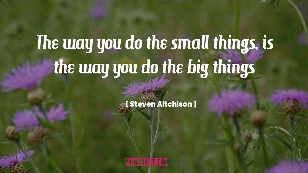 Big Things quotes by Steven Aitchison