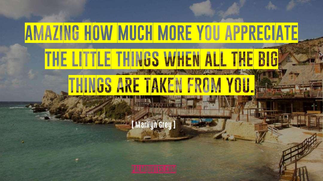Big Things quotes by Marilyn Grey