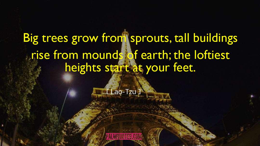 Big Trees quotes by Lao-Tzu