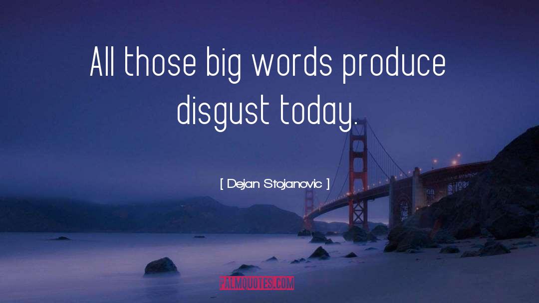 Big Words quotes by Dejan Stojanovic