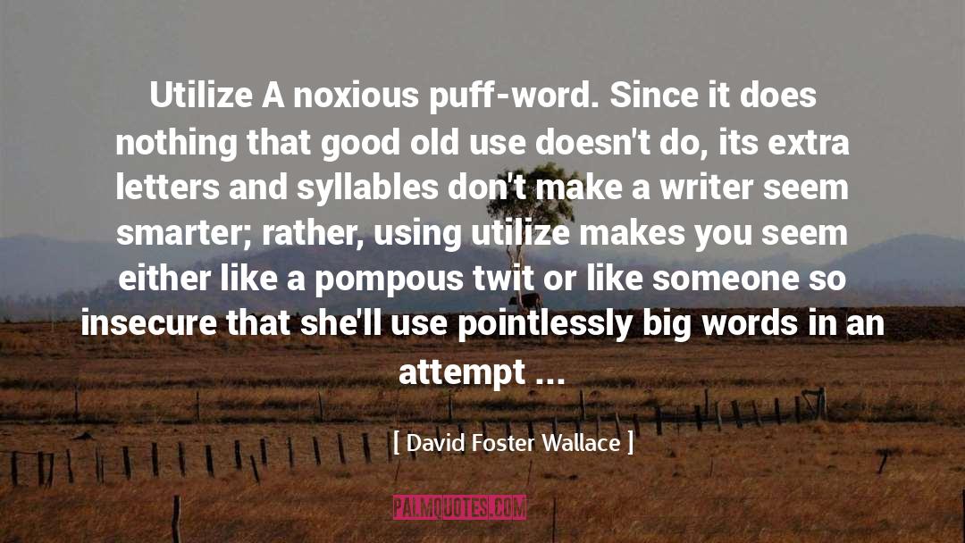 Big Words quotes by David Foster Wallace